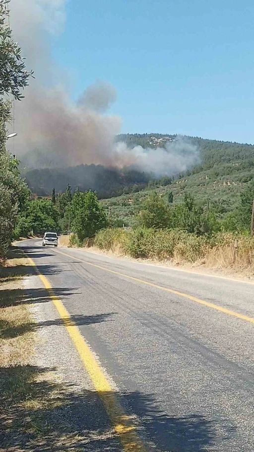 Muğla’da orman yangını
