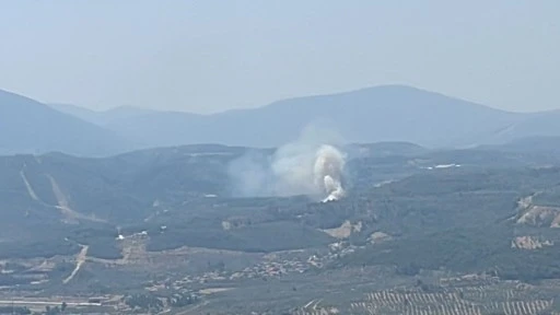Muğla’da orman yangını