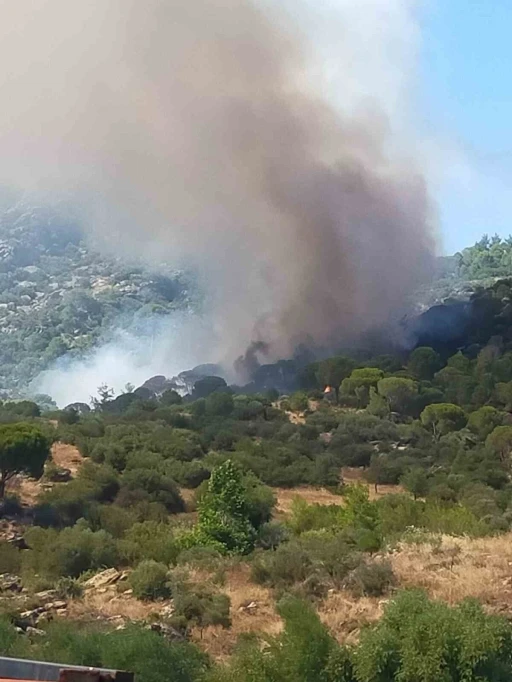Muğla&rsquo;da orman yangını
