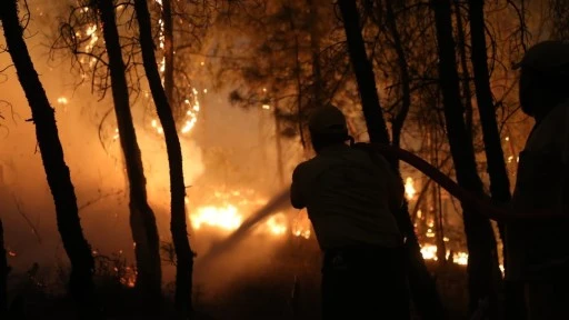 Muğla'da orman yangını riskine karşı uyarı
