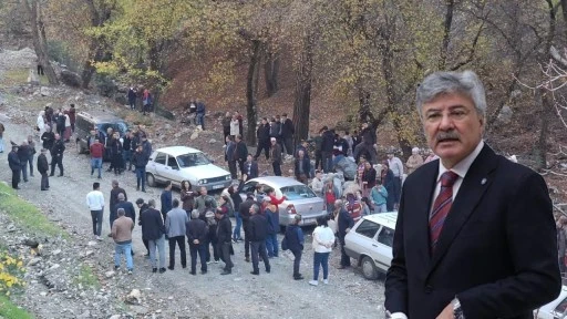 Muğla&rsquo;da "&Ccedil;ED" Krizi: 2 Bin Ağa&ccedil; ve Arıcılık Tehlikede