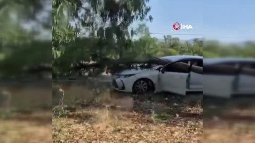 Muğla'da Radar Aracının Üzerine Ağaç Devrildi