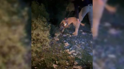 Muğla’da uyuşturucu operasyonunda 4 kişi tutuklandı