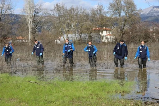 Muğla’da Vektörle Mücadele Aralıksız Sürüyor