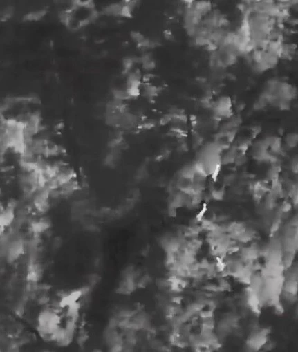 Muğla&rsquo;da yaban hayatına "dron" kalkanı
