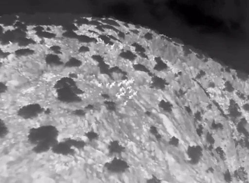 Muğla&rsquo;da yaban ke&ccedil;ileri termal kameralı drone ile g&ouml;r&uuml;nt&uuml;lendi
