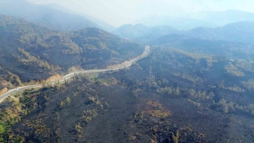 Köyceğiz'deki Orman Yangınının Acı Bilançosu