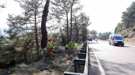 Muğla&rsquo;da yangın sezonu &ouml;ncesi Sakar Ge&ccedil;idi&rsquo;nde riskli dallar temizleniyor
