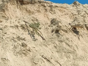 MUĞLA’DA ZEYTİN VE AĞAÇLAR 7/24 GÖZETİMDE