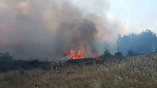 Muğla&rsquo;daki orman yangınında 1 kişi g&ouml;zaltına alındı

