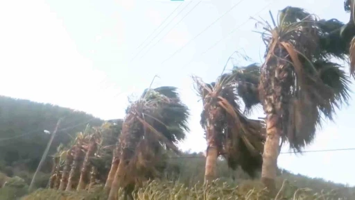 Muğla geneli fırtına uyarısı
