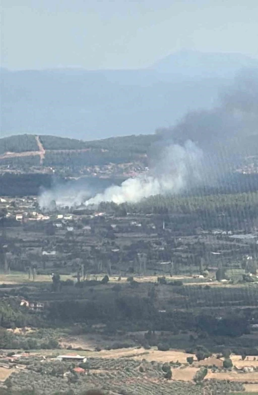 Muğla Menteşe&rsquo;de orman yangını
