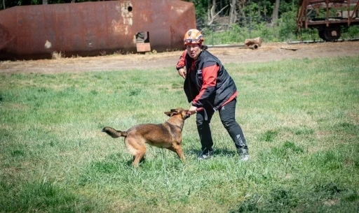 NAK Arama K&ouml;pekleri Macaristan&rsquo;da G&ouml;z Doldurdu
