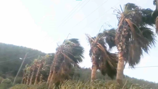 Muğla&rsquo;nın Kuzey b&ouml;l&uuml;mleri i&ccedil;in fırtına uyarısı
