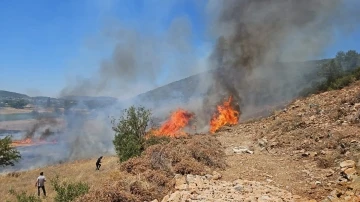 Muğla’nın Menteşe İlçesinde tarım arazisi yangını

