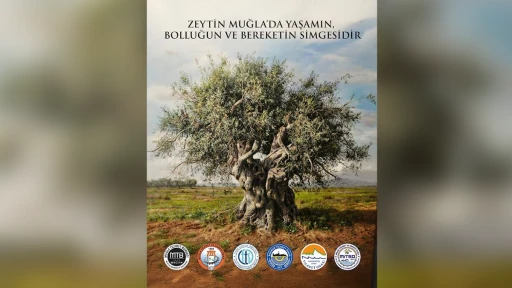 Muğla Odalarından 'Zeytin Yasası'na Ortak Tepki