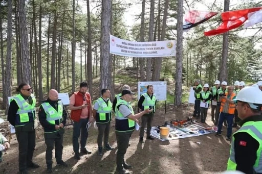 Muğla Orman Bölge Müdürlüğü’nde silvikültür tatbikatları tamamlandı
