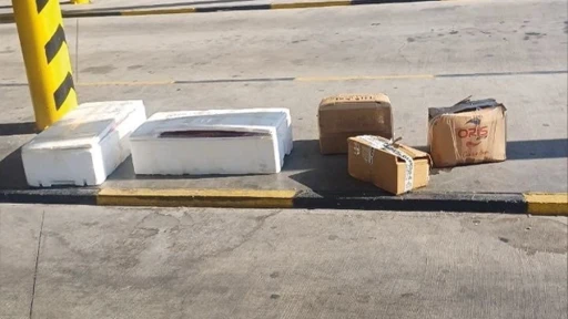 Muğla Otogar'da Sahipsiz Midyelere El Konuldu