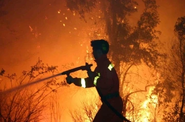 Muğla ve Aydın’da 502 yangında 819 hektar alan yandı

