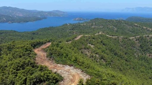 Muğla'da Ormanlara Yeşil Kalkan &Ouml;r&uuml;l&uuml;yor