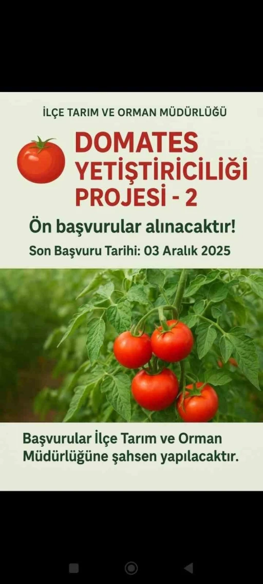 Muradiye’de &quot;Domates Yetiştiriciliği&quot; projesi için ön başvurular başladı
