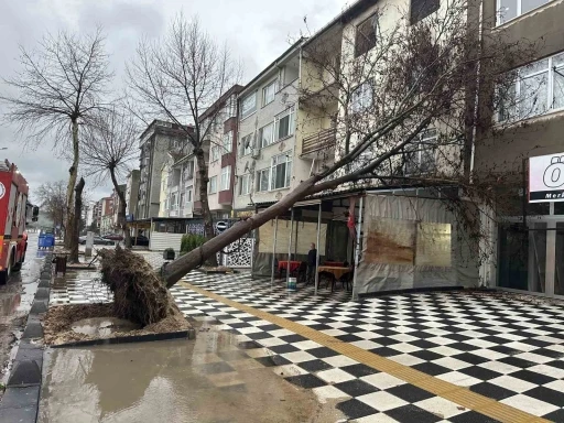 Muratlı&rsquo;da ağa&ccedil; kahvehanenin &ccedil;atısına devrildi
