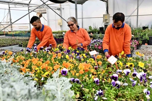 Muratpaşa&rsquo;dan &ouml;rnek bitki &uuml;retim modeli
