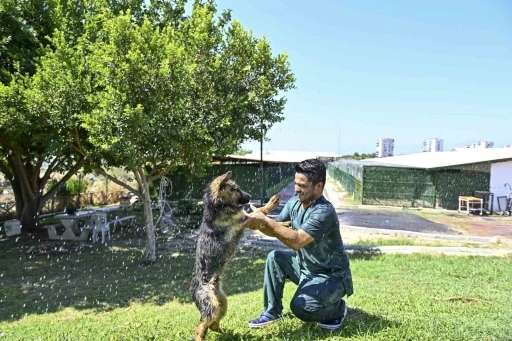 Muratpaşa&rsquo;dan patili dostlara serin dokunuş
