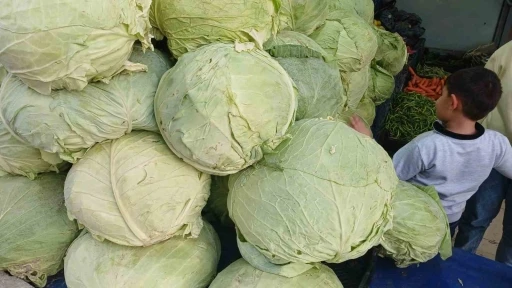 Muş lahanaları Diyarbakır’da tezgahlarda yerini aldı