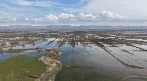 Muş Ovası&rsquo;nda kar erimesi ve sağanak tarım arazilerini sular altında bıraktı
