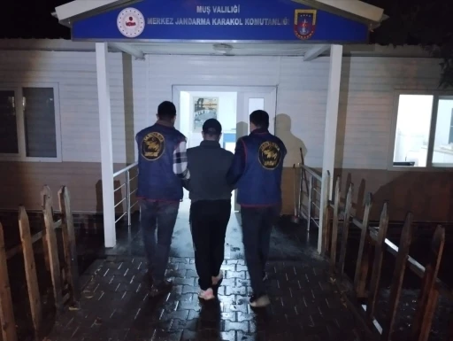 Muş’ta 17 yıl kesinleşmiş hapis cezası bulunan hükümlü yakalandı
