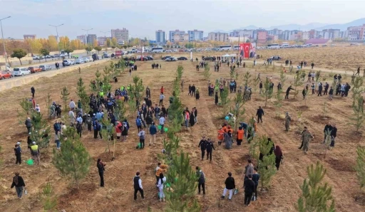 Muş’ta 20 bin fidan toprakla buluşturuldu

