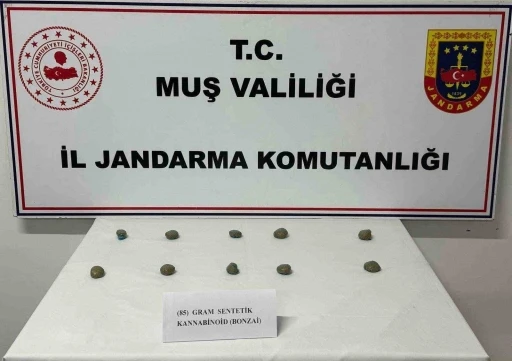 Muş’ta 206 şahıs yakalandı
