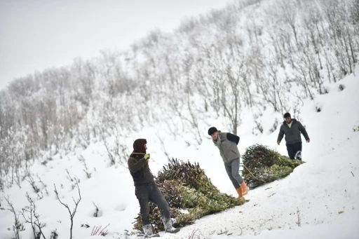 Muş&rsquo;ta besicilerin kızaklı zorlu kış mesaisi
