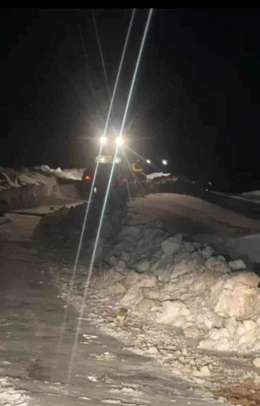 Muş&rsquo;ta fırtına nedeniyle k&ouml;y yolu ulaşıma kapandı
