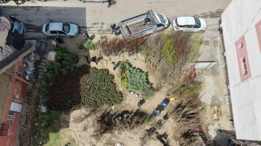 Muş&rsquo;ta meyve fidanları satışa &ccedil;ıkarıldı
