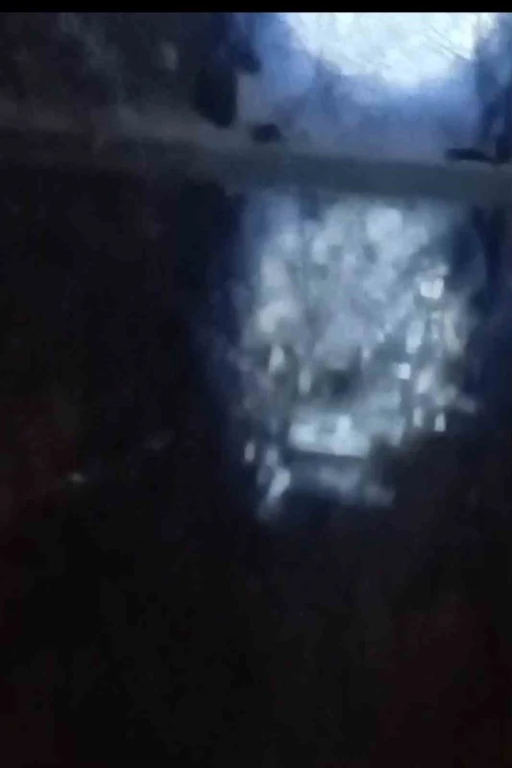 Muş&rsquo;ta nehir kıyısında su samurları g&ouml;r&uuml;nt&uuml;lendi
