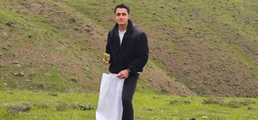 Muş&rsquo;ta "Yayla muzu" mesaisi başladı
