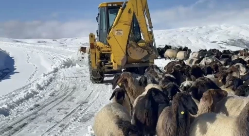 Muş’ta yoğun kar yağışı
