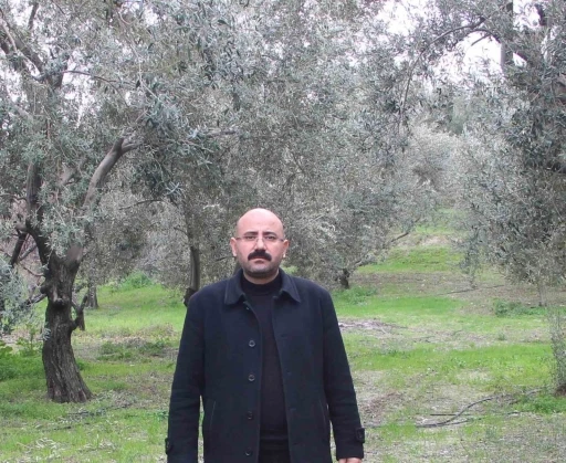 Mut’da bu yıl 120 bin ton zeytin rekoltesi bekleniyor
