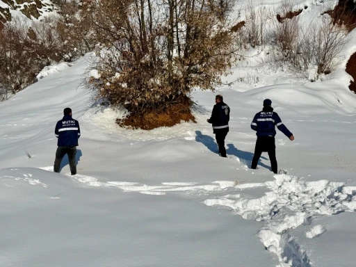 Mutki Belediyesi zorlu kış şartlarında yaban hayatını unutmadı

