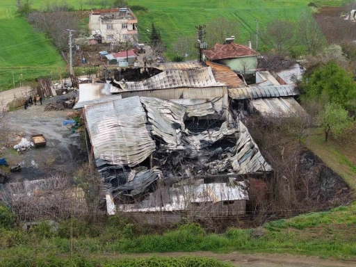 Muz deposundaki yangının zararı g&uuml;n ağarınca ortaya &ccedil;ıktı
