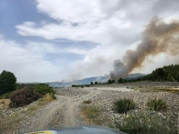 MUĞLA-DENİZLİ İL SINIRINDA ORMAN YANGINI BÜYÜYOR