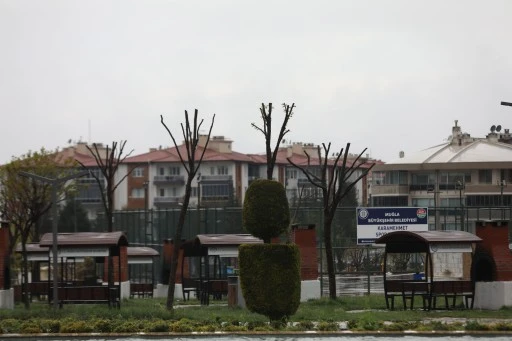 MUĞLA’DA AĞAÇLARA GENÇLİK AŞISI YAPILDI