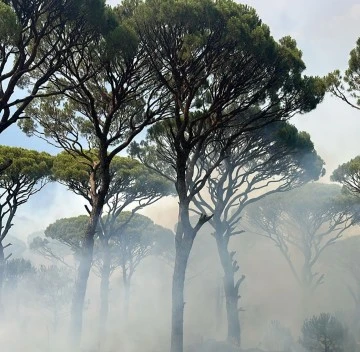 BOZDOĞAN’DA YILDIRIM KAYNAKLI YANGIN