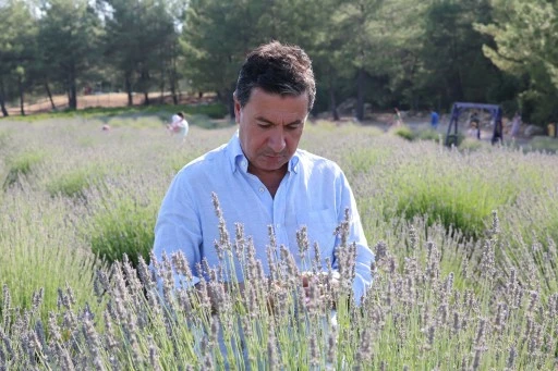 MUĞLA’DA AROMATİK ÜRETİM EKONOMİYE KATKI SAĞLIYOR
