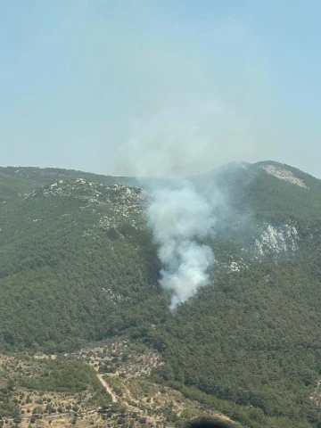 MİLAS DEMİRCİLER KÖYÜNDE YANGIN