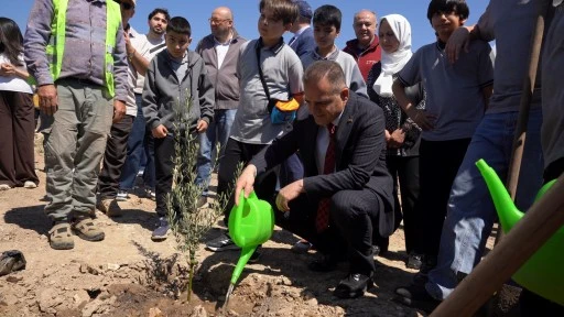 TAŞINAN HER ZEYTİN AĞACI İ&Ccedil;İN YENİ BİR FİDAN EKİLDİ