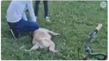 ŞANLIURFA'DA KÖPEKLERE YAŞATILAN VAHŞETİ DURDURUN
