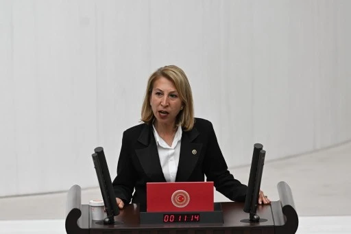 MİLLETVEKİLİ DERİCİ, YIKIM OLAYINI GÜNDEME GETİRDİ